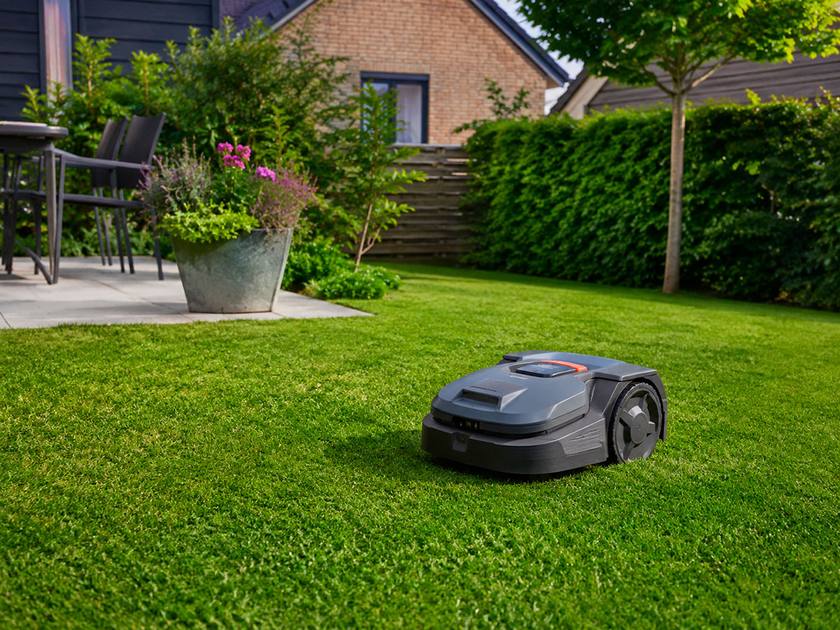 Robotplæneklipper i gang på en nyklippet græsplæne i en dansk parcelhushave med terrasse og hæk